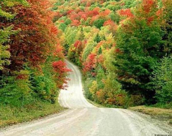 十條最美的公路，你喜歡哪一條？