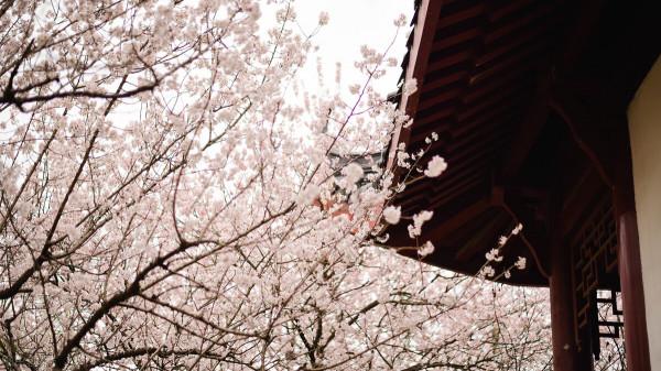 欠了很多錢，這輩子可能都還不清了，該怎麼辦？