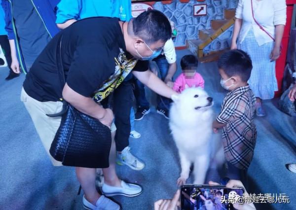 北京新開一家動物園,可以和老虎共進午餐 北京新開一家動物園,可以和老虎共進午餐