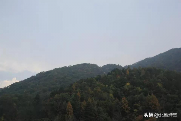分享一組關山牧場的原生態秋景 分享一組關山牧場的原生態秋景