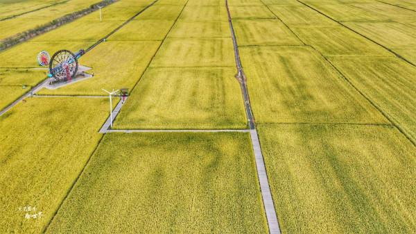 瀋陽稻夢空間堪稱“世界之最”，買門票還送大米，假期你會去嗎？