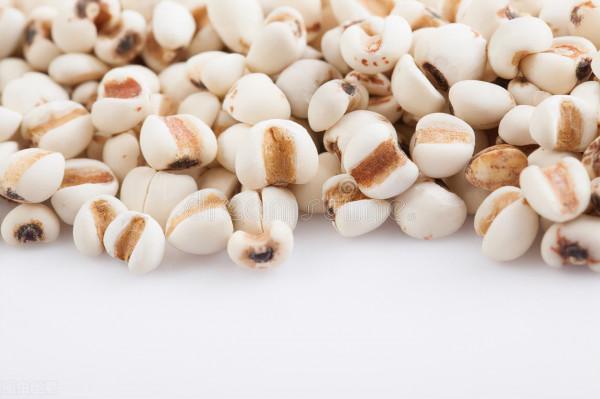 養生知藥 &vert; 薏苡仁