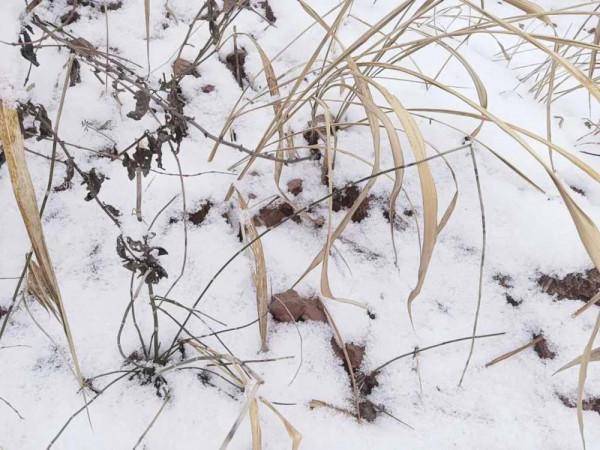 為什麼說雙向奔赴才有意義？