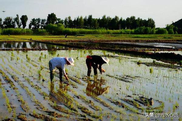 文同很著名的一首七律，樸實無華，展現出山村生活的樂趣