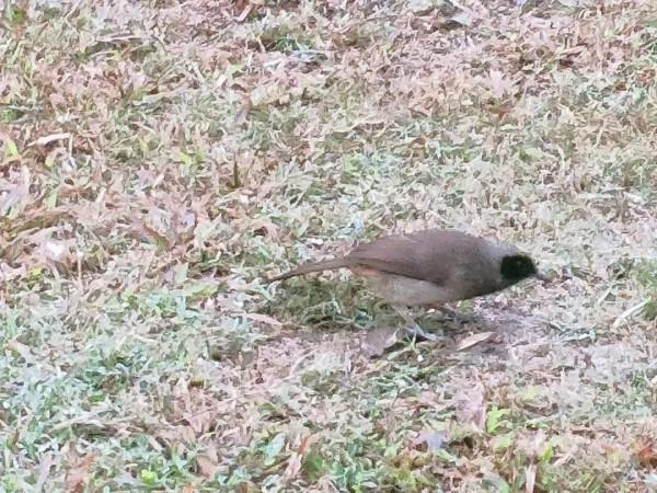 朋友圈2021年第31期