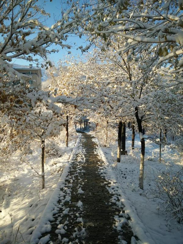 北京人在新疆 北京人在新疆