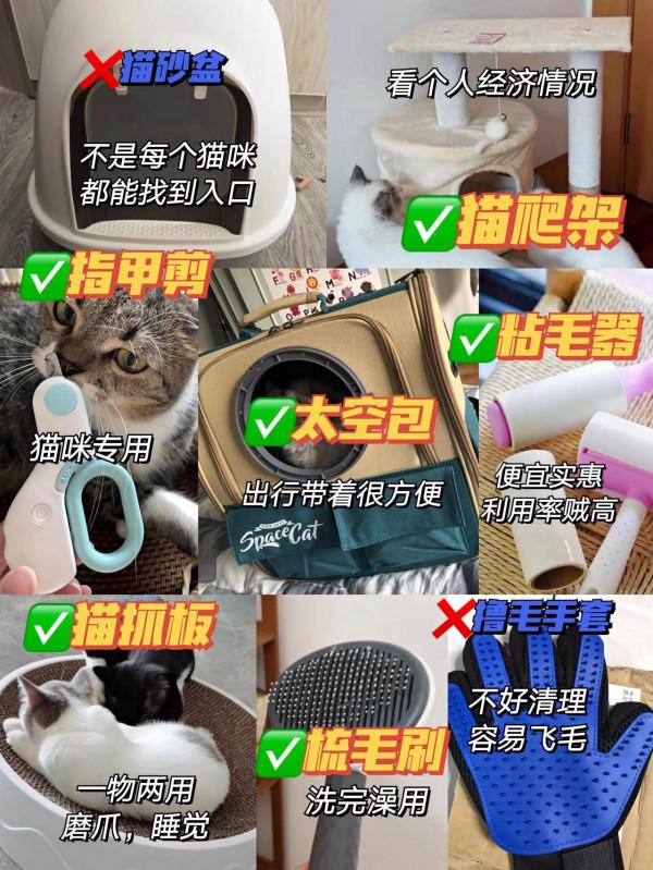 為什麼你養貓很費錢？原因在這呢