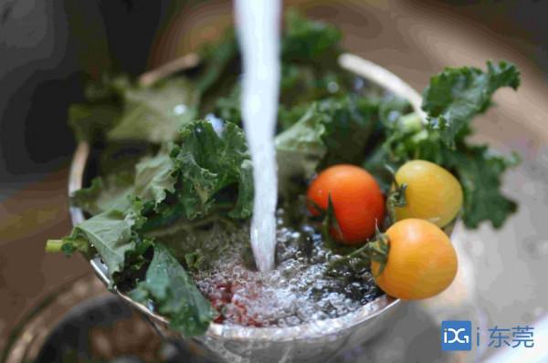 美食|DIY美味健康輕食漢堡,羽衣甘藍唱主角 美食|DIY美味健康輕食漢堡,羽衣甘藍唱主角