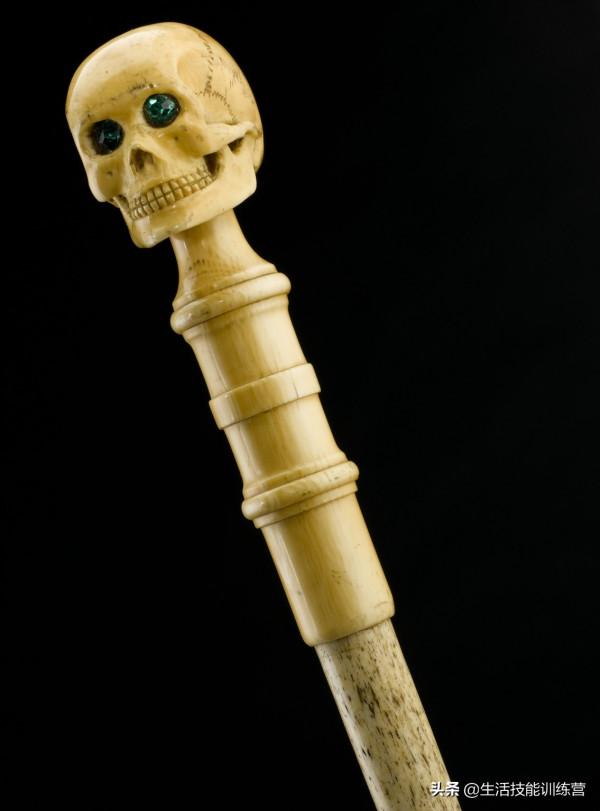 你見過躲雨的火烈鳥嗎？30張趣圖讓你大開眼界