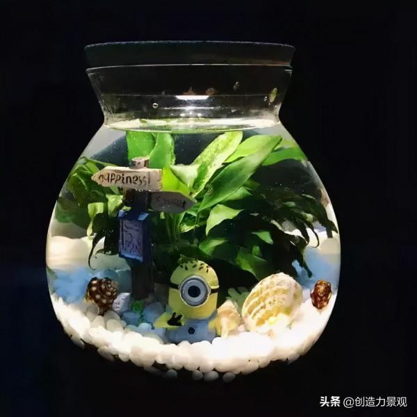 把大自然裝進瓶子裡，種在瓶子裡的微景觀究竟有多美？