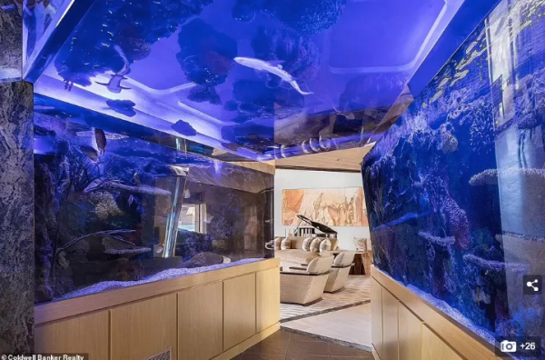 美國豪宅叫價$5000萬速賣出 位處沙漠 家中竟有水族館海底隧道