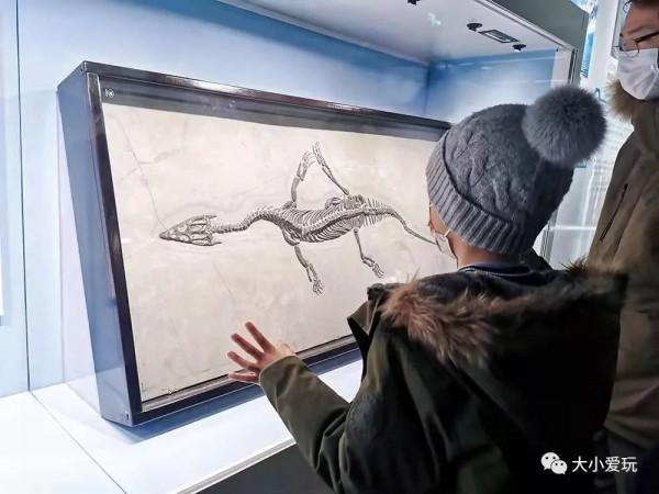 這個帝都新開的萬能博物館你可能還不知道，展覽、電影…全免費