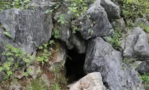 兩人一狗勇闖大別山無名山洞,爬至洞內三里處,狗卻突然大聲狂吠 兩人一狗勇闖大別山無名山洞,爬至洞內三里處,狗卻突然大聲狂吠