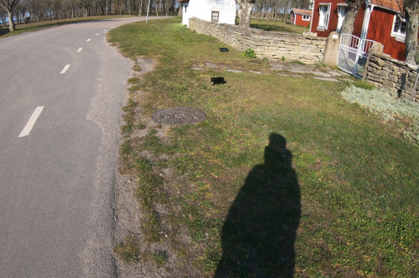 中國小夥的航海日記（三）：瑞典小島物價真貴，買個蒜心都在滴血