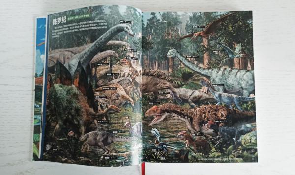 一本關於恐龍的百科書,讓孩子愛上恐龍的世界 一本關於恐龍的百科書,讓孩子愛上恐龍的世界