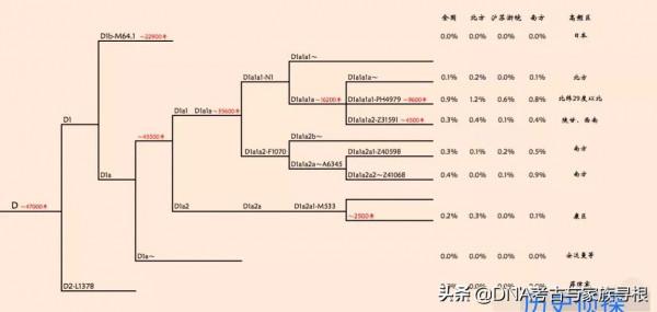 白馬藏族與父系單倍群D（Y－D）
