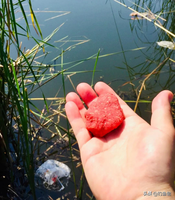 冬天釣魚，葷餌、商品餌、素餌，到底哪個上魚效果最好？