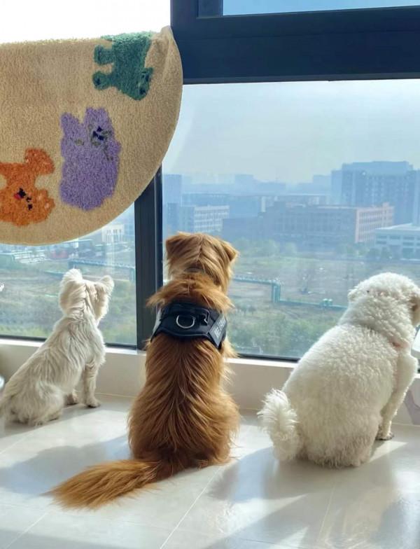 發現90後夫婦家名場面，75㎡小家每1㎡都榨乾，實在太會佈置了