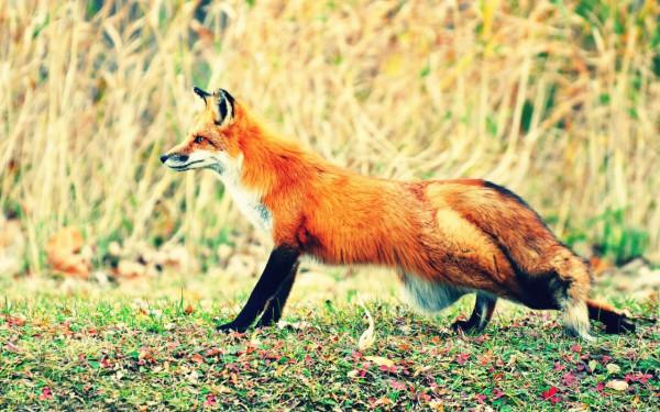 獻身精神太強！總為別人考慮，但卻總忽略自己的星座
