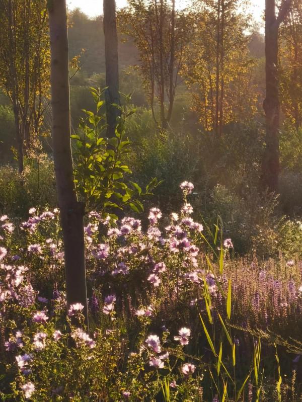 父母和孩子，從來都是彼此心裡的大人物