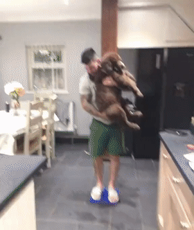 同時養8只一百多斤的狗子,是什麼體驗? 同時養8只一百多斤的狗子,是什麼體驗?