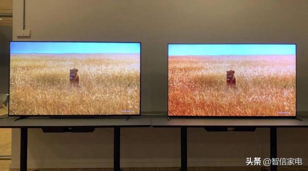 疑似索尼X90K、X95K諜照曝光！Mini LED完勝LCD