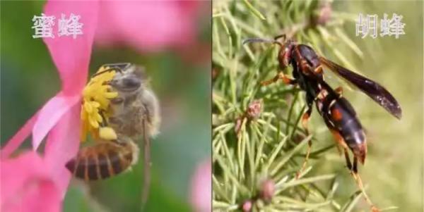 十一長假放肆耍?急診科醫生告訴你這幾個問題一定要注意 十一長假放肆耍?急診科醫生告訴你這幾個問題一定要注意