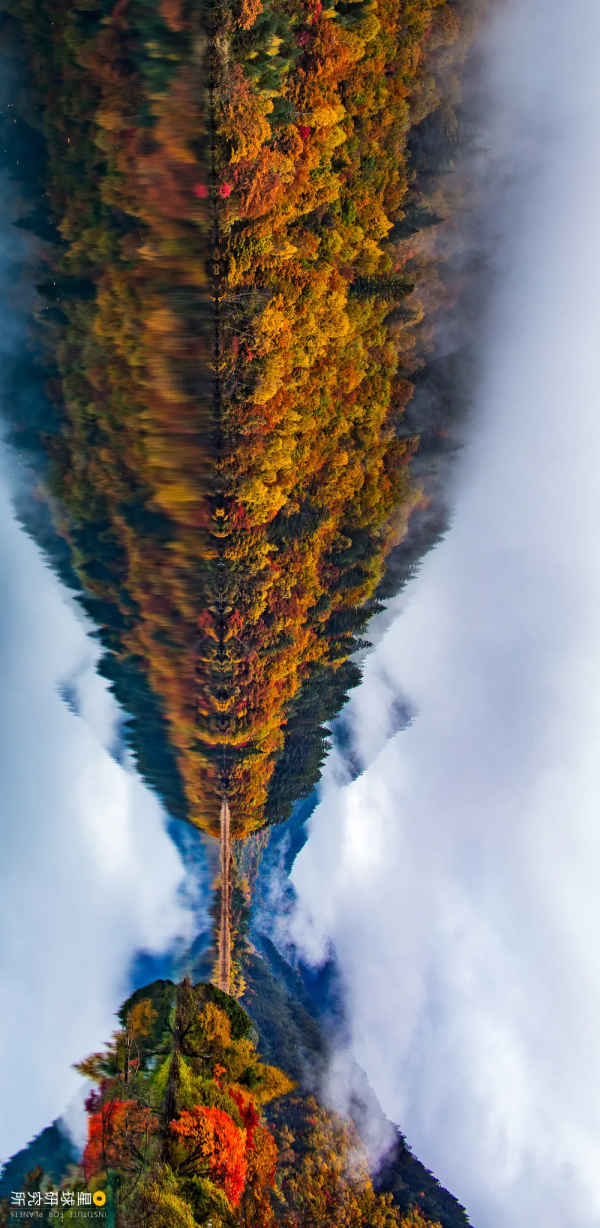 來了！中國賞秋地圖