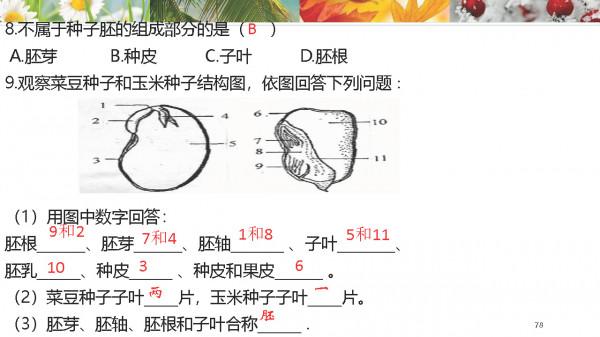 請家長列印：七年級上冊生物 期末考點+思維導圖+ 答案模板