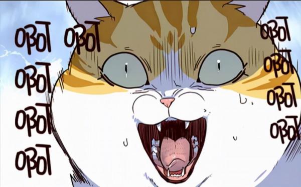 原來這才是養貓的正確方式！我一直都搞錯了