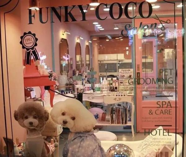 2023十個穩當靠譜創業專案（適合所有人）