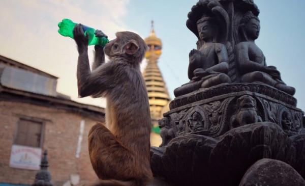 多種宗教融合下的高山眾神國度、被虔誠昇華的佛塔和印度教女神廟