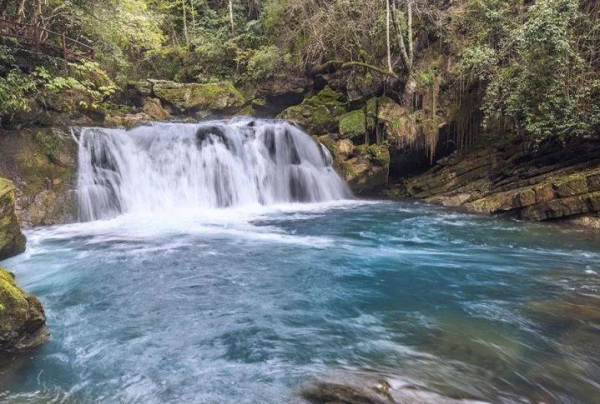 今日干貨|造成釣魚停口的原因和解決辦法 今日干貨|造成釣魚停口的原因和解決辦法