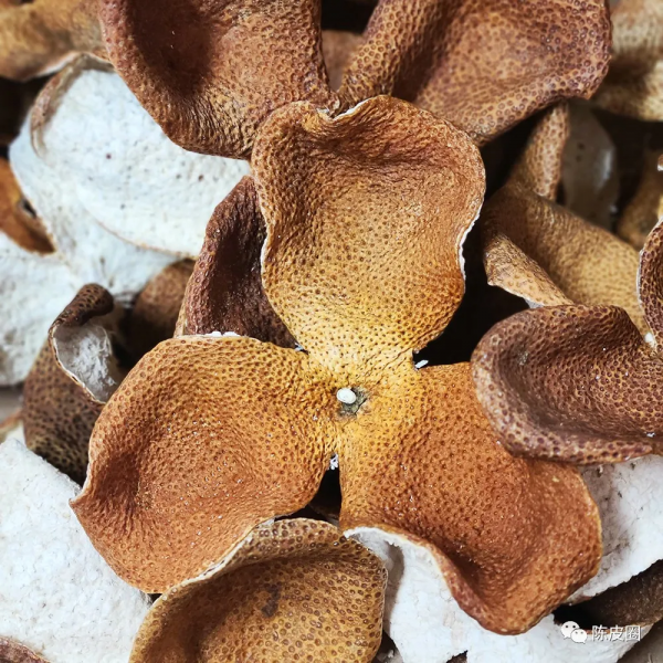 陳皮圈｜幹倉慢陳的新會陳皮