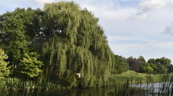 2020年美國每個州受教育程度最高的城市是哪些，你知道嗎？