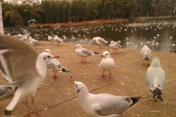 既然連死都不怕了,不如在死之前看看這個世界 既然連死都不怕了,不如在死之前看看這個世界