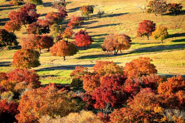 這才是11月最推薦去的景點，秋色正美還小眾，適合閒居兩三日
