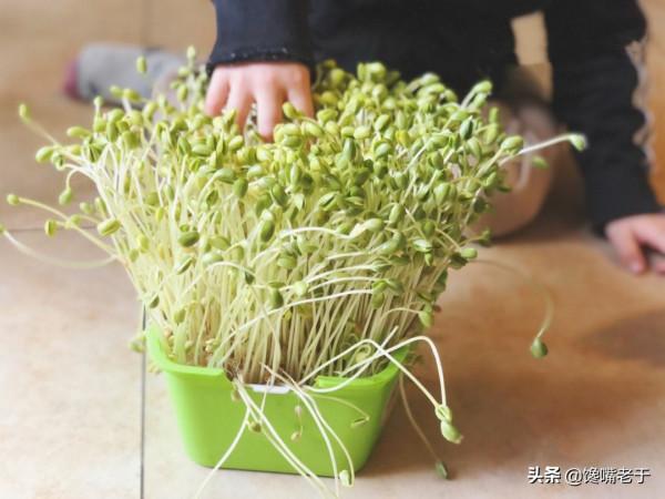 吃火鍋時：切記不要涮“3肉3菜”，老闆：不是同行就是資深吃貨