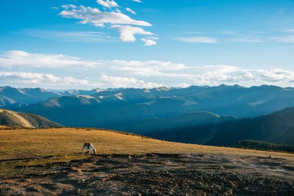 第一次自駕旅行結束於半路,同時結束的還有近二十年的婚姻 第一次自駕旅行結束於半路,同時結束的還有近二十年的婚姻