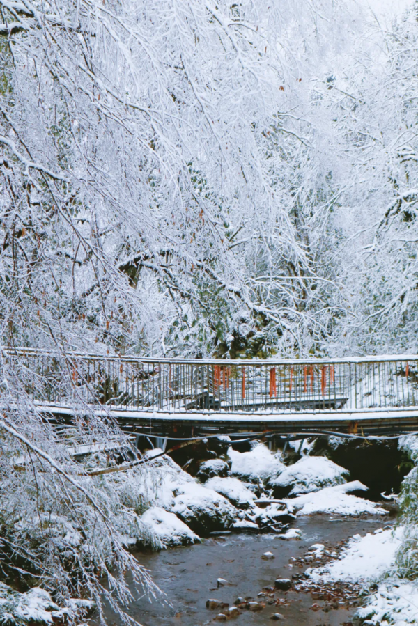 元旦最強攻略出爐！小眾美景、愜意度假、全家出遊都有，拿走去耍