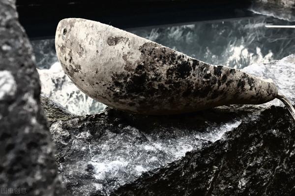 7種老物件,帶你重溫過去農村灶房裡的煙火氣息,你感受到了嗎 7種老物件,帶你重溫過去農村灶房裡的煙火氣息,你感受到了嗎