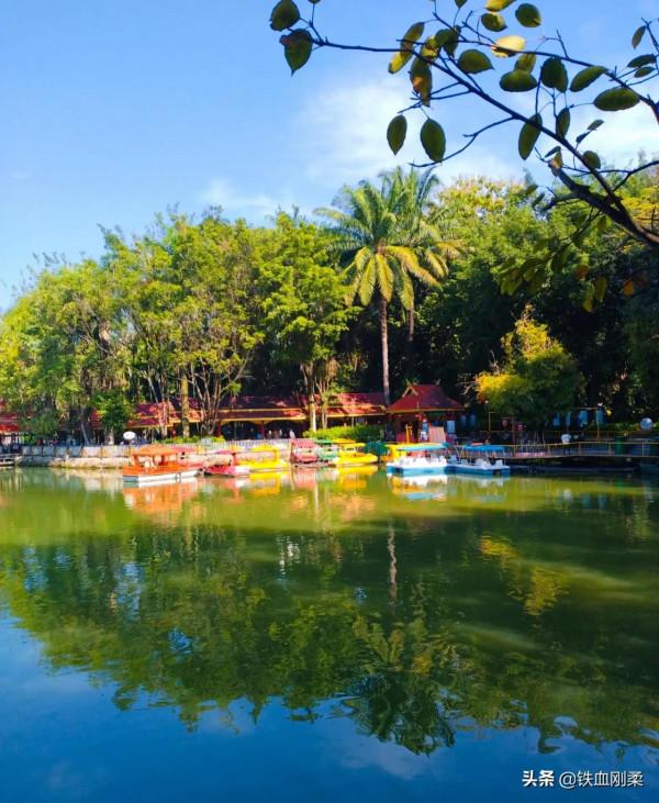 我用800字簡介西雙版納景洪市區10個免費遊景點 我用800字簡介西雙版納景洪市區10個免費遊景點