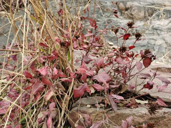 徒步白雲寺渡槽一一絕壁大梯一一上白雲一一白雲寺 徒步白雲寺渡槽一一絕壁大梯一一上白雲一一白雲寺