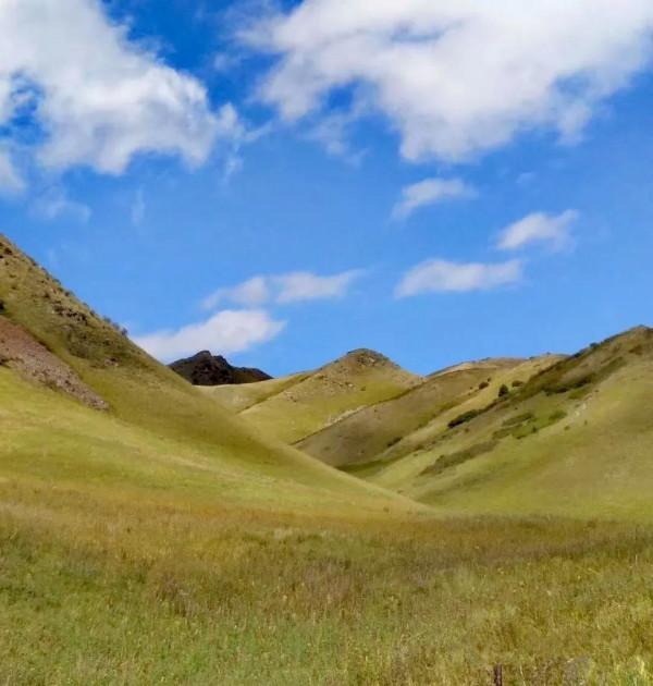 大美新疆自駕遊——到夏爾希裡感受風景如畫 大美新疆自駕遊——到夏爾希裡感受風景如畫