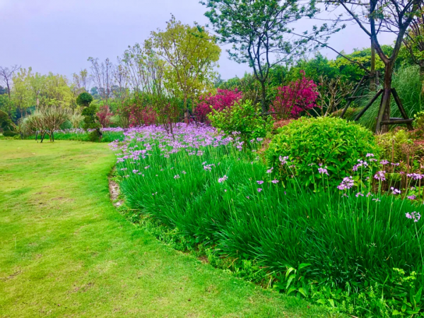 學會搭配這8種園藝植物，讓你的花園收穫一個有趣的靈魂