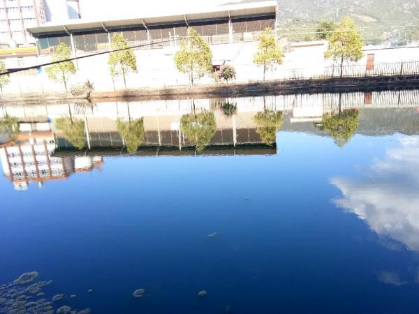 新年首釣的快樂，無非是真“打龜”了