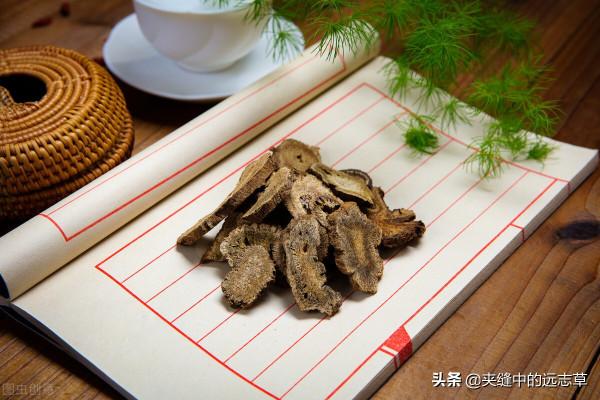 脾胃虛寒？講六味中藥，辛甘化陽，酸甘化陰，溫中補虛，陰陽調和