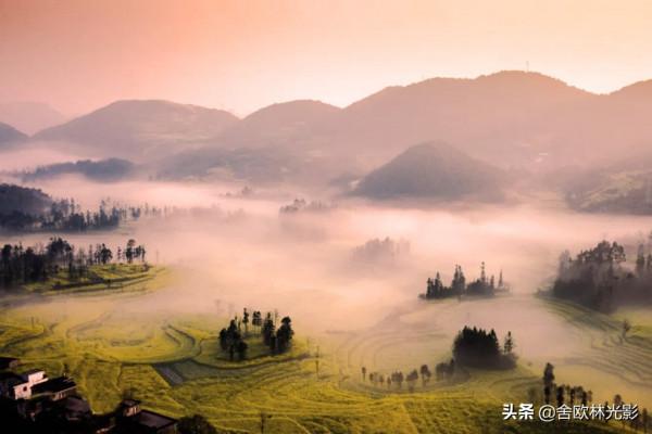 羅平馬街，一個把田地種成了風景畫的地方，山區賞花正當時哦