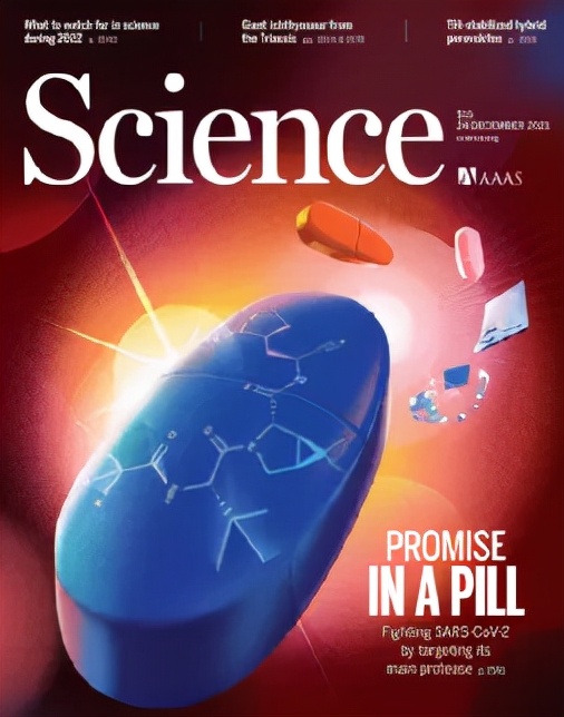 《科學》（20211224出版）一週論文導讀