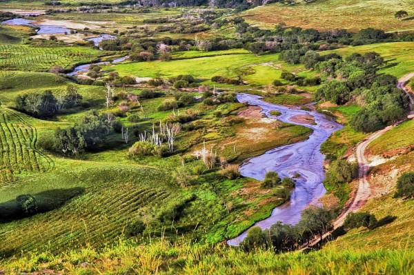 想去壩上草原，哪哪分不清？一篇文章幫你搞明白